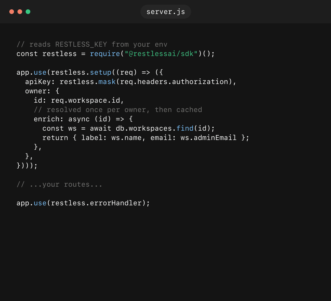 server.js, where restless.setup wraps the app: it masks the authorization header, tags each call with the workspace that made it, resolves that owner once and caches it, and installs restless.errorHandler after the routes.